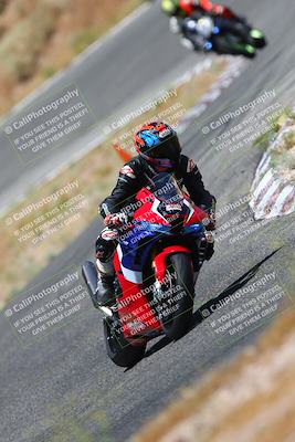 media/Jul-08-2023-2WTD (Sat) [[c8c0d2e149]]/B Group/1220pm (Turn 5)/